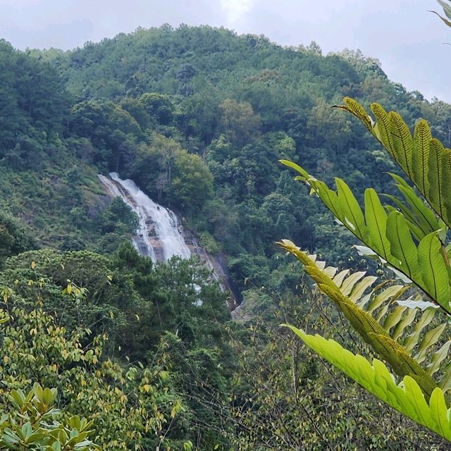 Waterfall Views & Foodie Dreams: Chom Thong’s Must-Try Eats 🇹🇭🌄