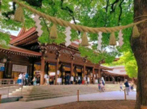 A Peaceful Escape in the Heart of Tokyo — Meiji Jingu Shrine