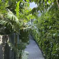 쉿! 🇮🇩 발리, 천국의 풀빌라 몰래 공개해요!