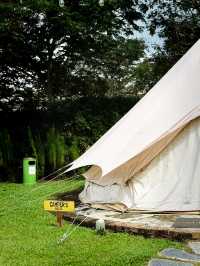 🌟 Escape & Unwind at The Tribe Puchong 🏕️