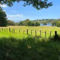 Ayrlies Garden and Wetlands