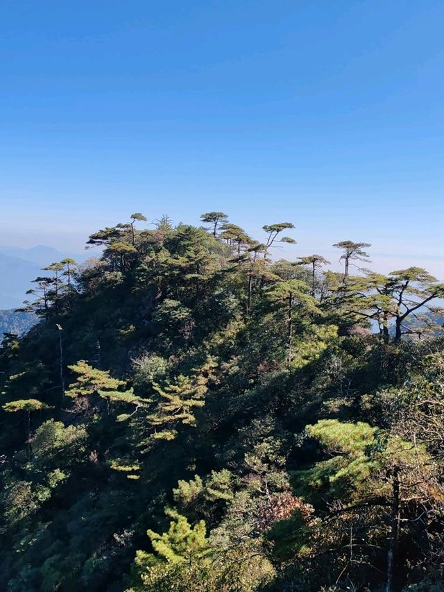 Spectacular Scenery of Mount Sanqing