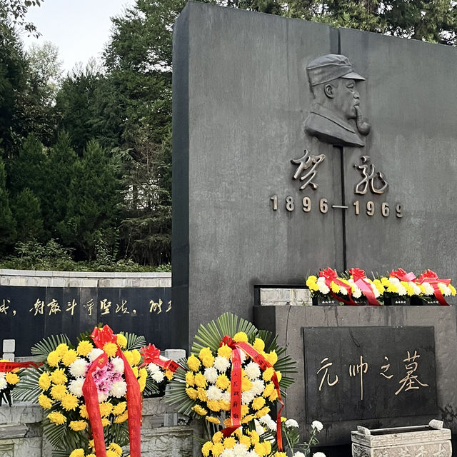  Zhangjiajie East Gate — A One-Day Journey Through Peaks, Clouds & Surprises