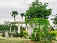 A Slow Walk Through Serenity: Discovering the Calm & Green Garden