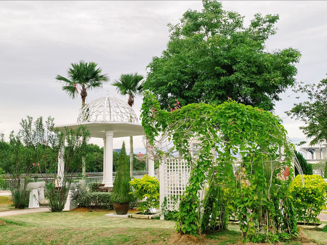 A Slow Walk Through Serenity: Discovering the Calm & Green Garden A Slow Walk Through Serenity: Discovering the Calm & Green Garden