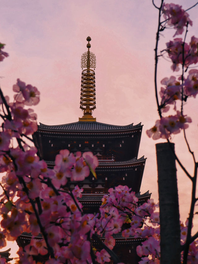 Sensoji Lights Up🌙