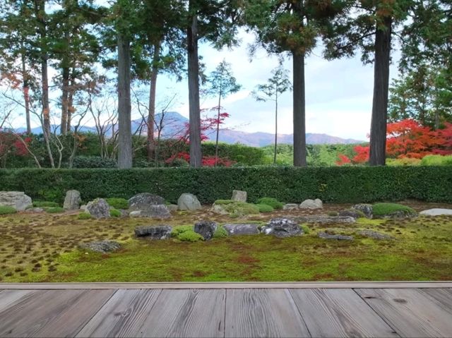 京都北山賞楓必去靜謐秘境🍁圓通寺充滿禪意的絶美畫捲 京都北山賞楓必去靜謐秘境🍁圓通寺充滿禪意的絶美畫捲