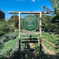 Camperdown Commons: ฟีลบ้านสวนกลางเมืองที่ต้องมา