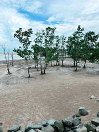 Sematan’s Wetland Serenity & Coastal Delights