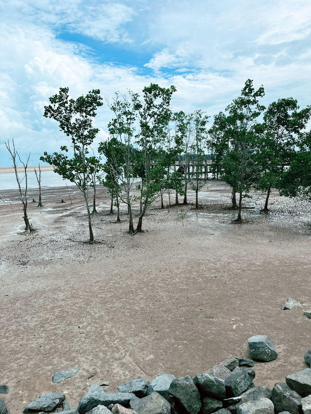 Sematan’s Wetland Serenity & Coastal Delights