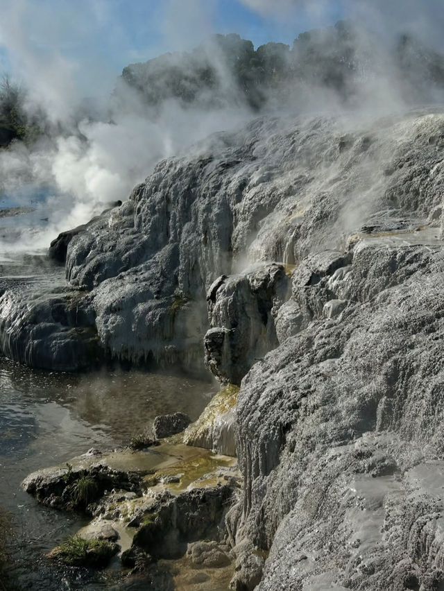 🌋紐西蘭11月秘境•Te Puia地熱谷・睇波胡圖間歇噴泉噴發震撼景觀！