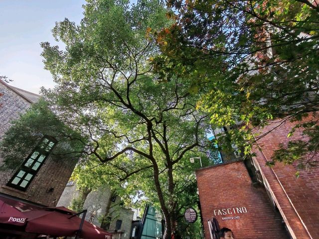 Xintiandi ย่านฮิตในเซี่ยงไฮ้