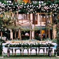 Nature-Lover’s Dream Stay: Cozy Hotel Review 🏡🌲