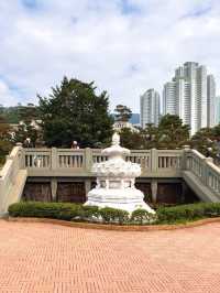 A Tang Dynasty Dream in Diamond Hill