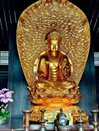 Tsz Shan Monasteryวัดดังในฮ่องกง