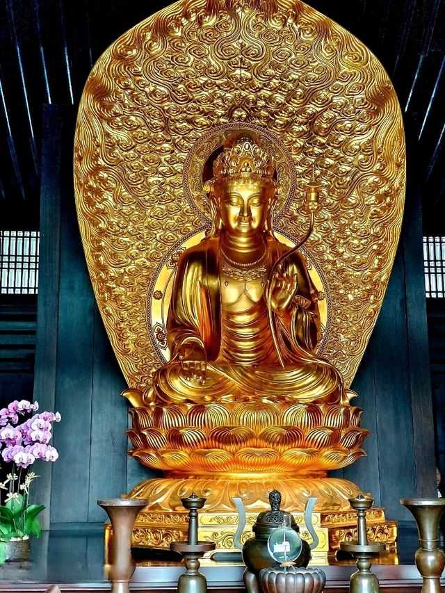 Tsz Shan Monasteryวัดดังในฮ่องกง Tsz Shan Monasteryวัดดังในฮ่องกง