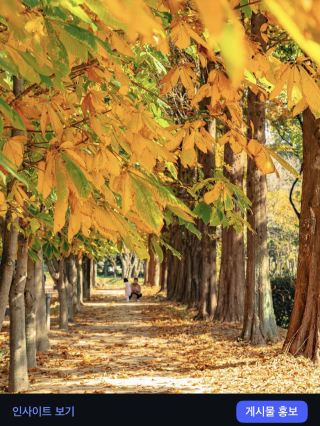 推薦慶州秋季旅遊課程