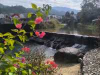 山景露台酒店房間下大,空間感十足,放鬆時刻🏞️