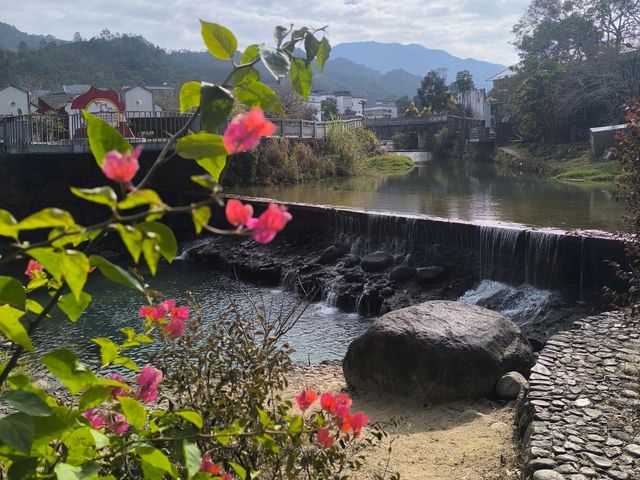 山景露台酒店房間下大,空間感十足,放鬆時刻🏞️