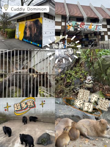 Asukadeli Animal Park: A Kingdom of Adorable Animals and a Fantastic Journey Through an Aerial Volcano in Aso, Kumamoto
