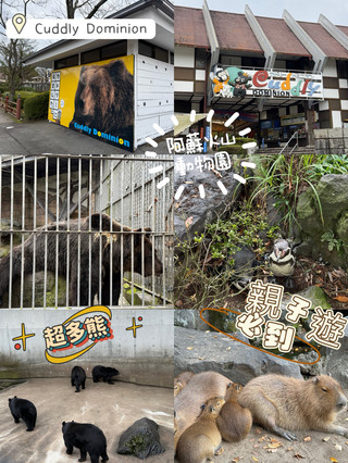 阿蘇卡德利動物樂園：熊本阿蘇的萌獸王國與空中火山奇航