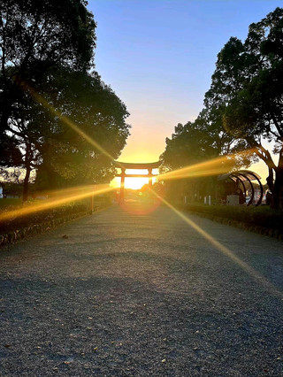Just walking through the forest brings inner peace... Usa Jingu was far more extraordinary than I imagined.