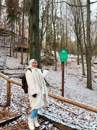 ❄️Winter Hike at Saxon Switzerland National Park 🇩🇪