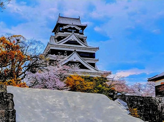 Kumamoto: "Exploring Kumamoto Castle and Samurai Culture".