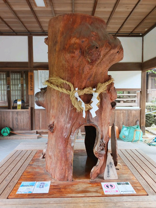 踏入傳說：伊多岐祖神社與神奇的杉木分叉
