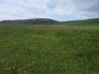 เที่ยวฟุกุโอกะ คิวซู ญี่ปุ่น Spring at Kyushu 2026
