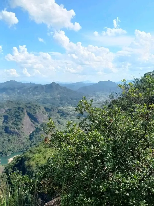 🍃 Wuyishan: The Birthplace of Da Hong Pao and a Paradise for Hikers