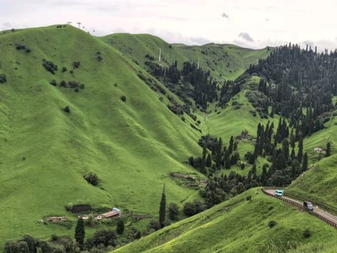 A Small Kindness That Made Zhaosu Grassland Feel Less Far Away