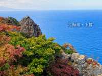 【北海道】外国人旅行者は知らないと損!?新千歳・札幌・小樽・美瑛・富良野・旭川が4日間乗り放題