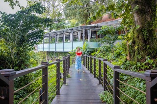 🦚 Peacocks in the Garden: Sentosa's Quietest Resort
