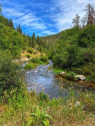 🍁 Spearfish Canyon: South Dakota’s Autumn Wonderland 🌄