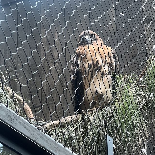 The best Audubon Aquarium in America 