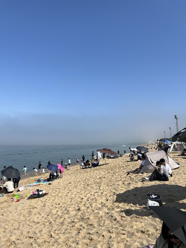 시원한 바다와 관람차 속초아이가 있는 속초 해수욕장 