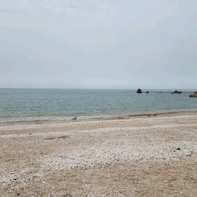 인천 영종도를 가보자!!!