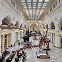 1 of the biggest museum🦖🦕