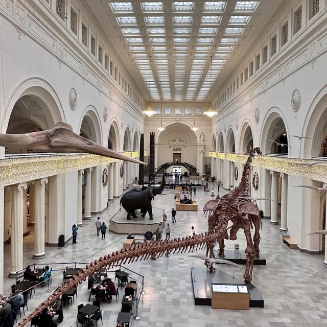 1 of the biggest museum🦖🦕