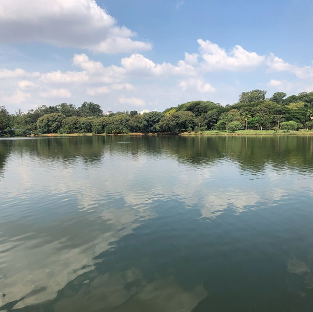 Lovely park in São Paulo 