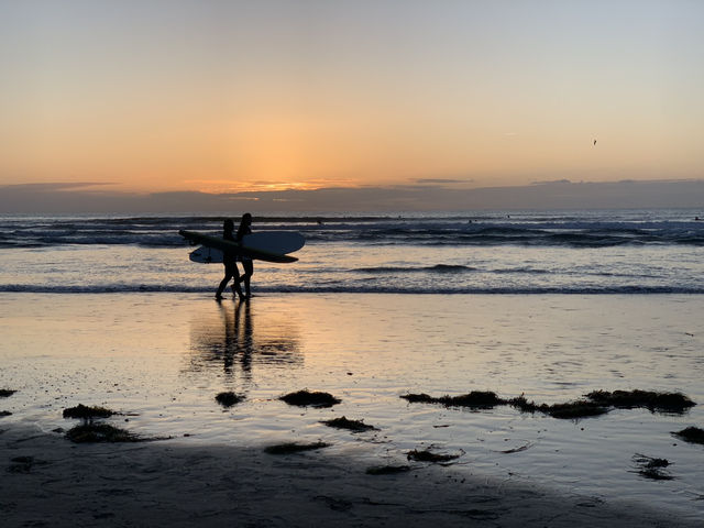 La Jolla Shores，surfing the Pacific Ocean