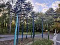 Great Forest Park