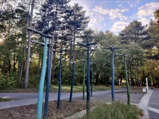 Great Forest Park