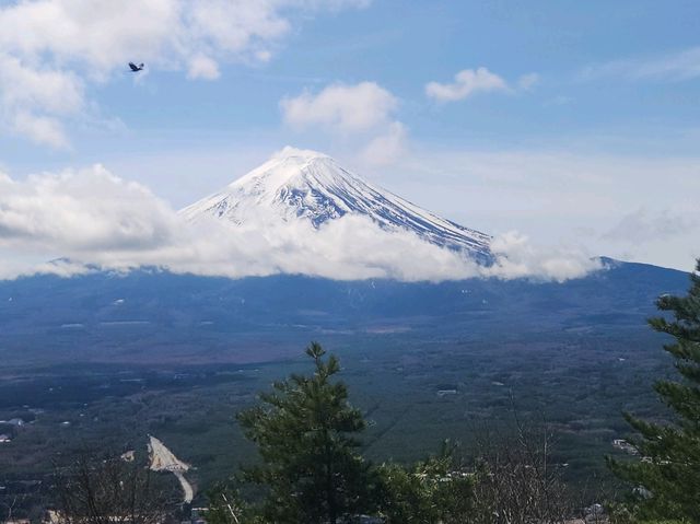 Mount Fuji: Japan's Majestic Icon