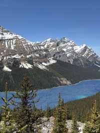5-day Itinerary in Calgary