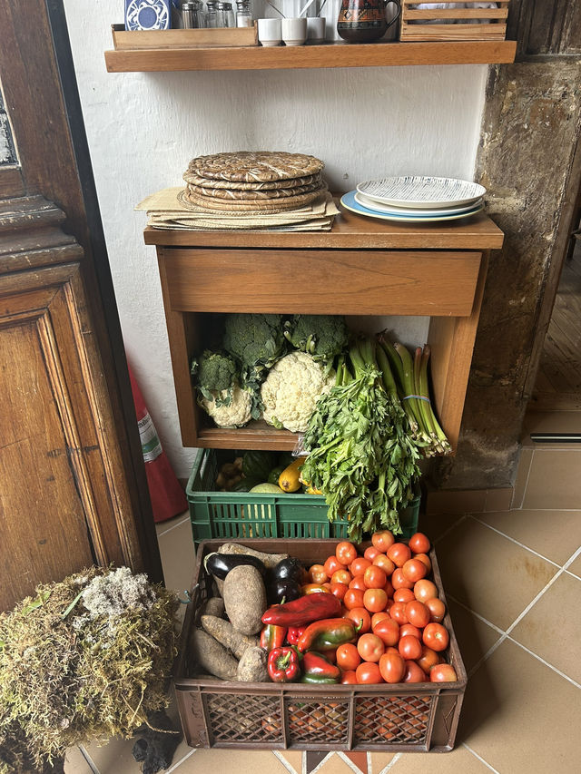 コロンビア🇨🇴 おすすめレストラン in ボゴタ