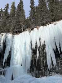 🇨🇦バンフの人気トレイル🏞️【ジョンストンキャニオン】で滝と渓谷を満喫