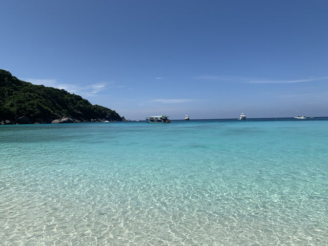 ✨ “Phuket Horizon Journey