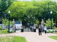 Strolling Through Boston Public Garden & Common: City Views and Historic Vibes 🌳🏙️